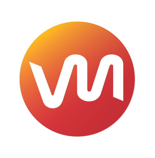 Valmedia, LLC Logo Identity